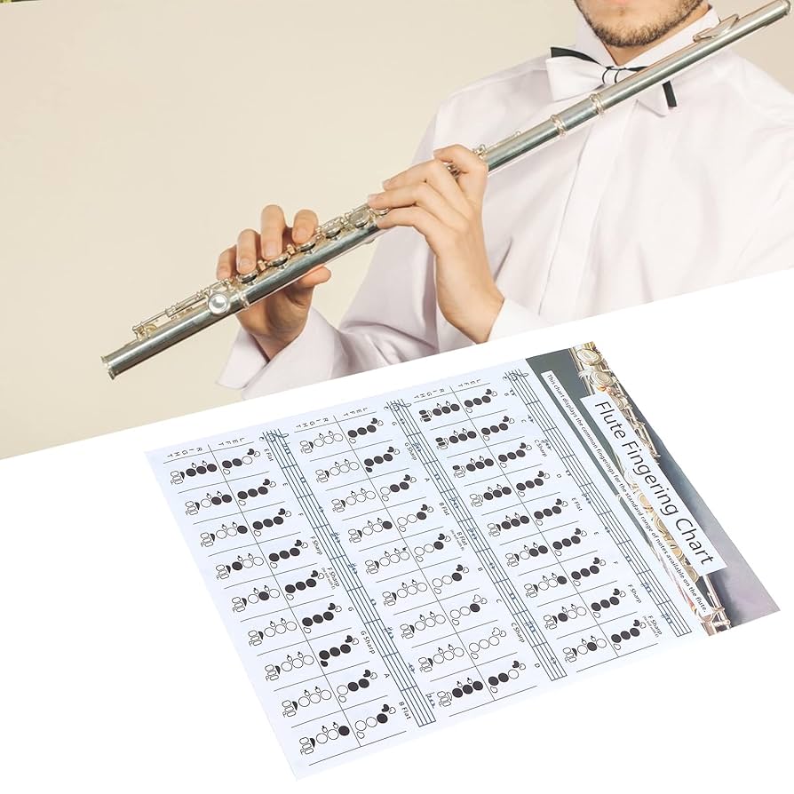 CHOROi C-フルート　ドイツ運指 みるみる分かる！フルートのための「ドイツ音名」徹底解説