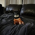 Review Image by Claudia Claudia