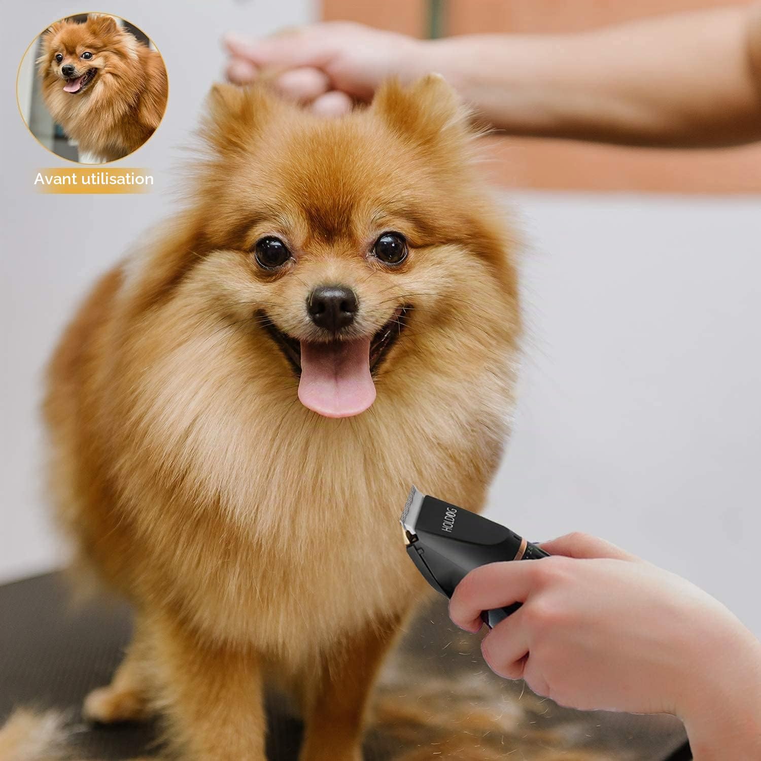 Tondeuses pour chiens grands et petits professionnelles robustes à 3 vitesses à faible bruit haute puissance sans fil outils de toilettage pour animaux de compagnie