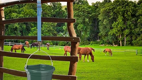 Miniatura 27 de Correa ajustable de nailon para cubeta (paquete de 3) para redes de heno, cubos de agua, correa para colgar, comederos de caballos al aire libre