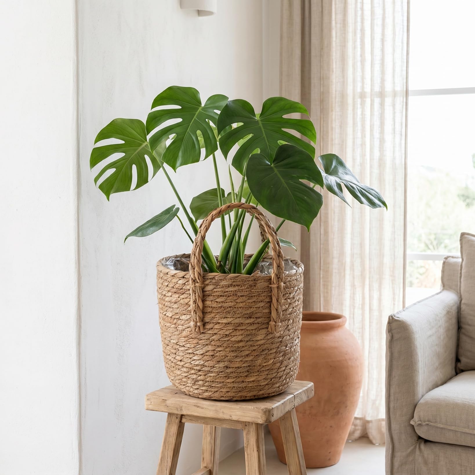 Baluue Cesta de Plantas Macetas de Interior Tejidas de 28cm Cesta de Paja Tejida a Mano con Forro Impermeable, Maceta Rústica Estilo Boho para Hogar, Salón y Oficina