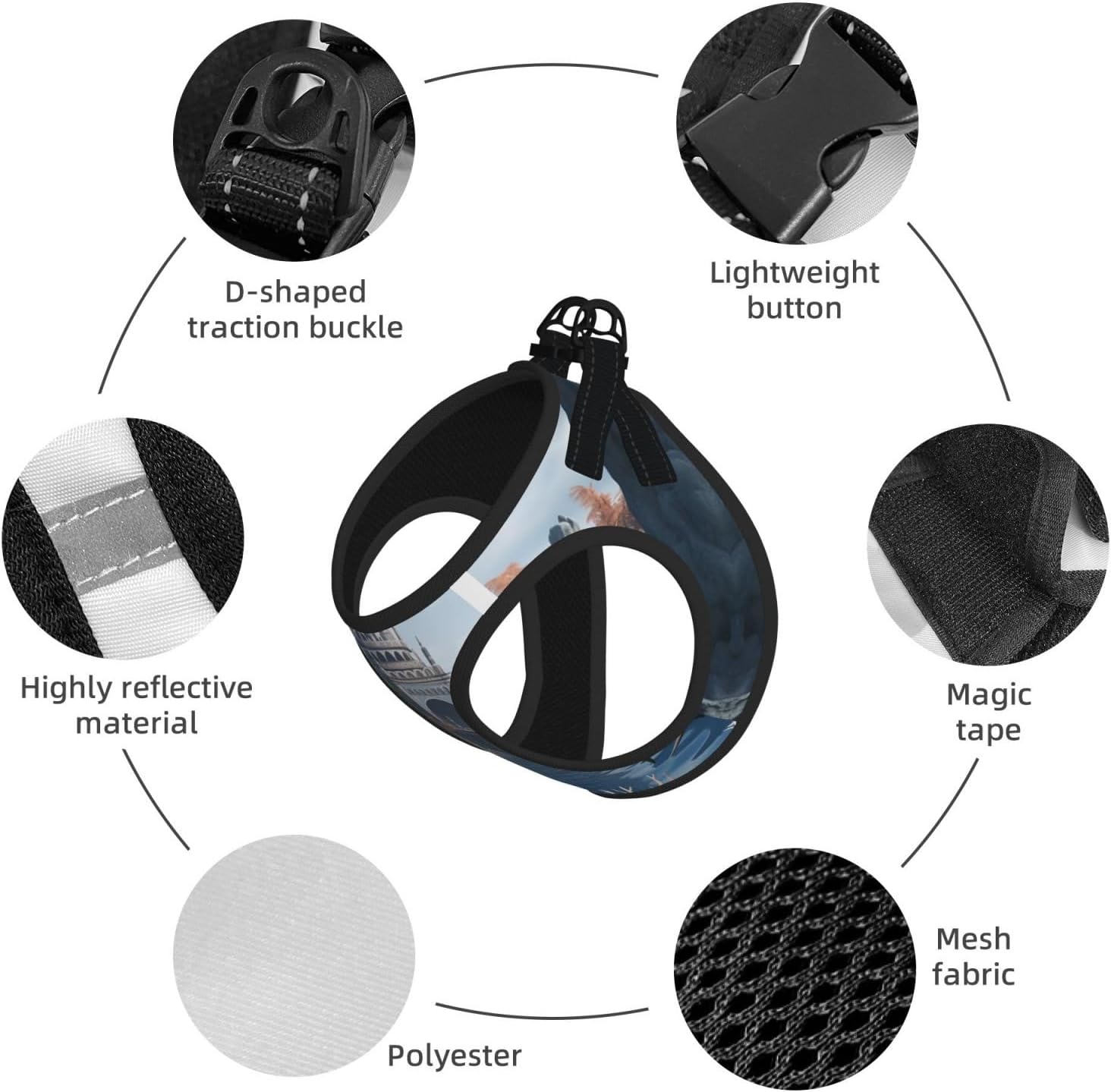 Sharks, Outside of The 'Magic School' Pet Vest Small Size Dog Harness and Leash Set for Training, Reflective & Adjustable Without Accessories Small