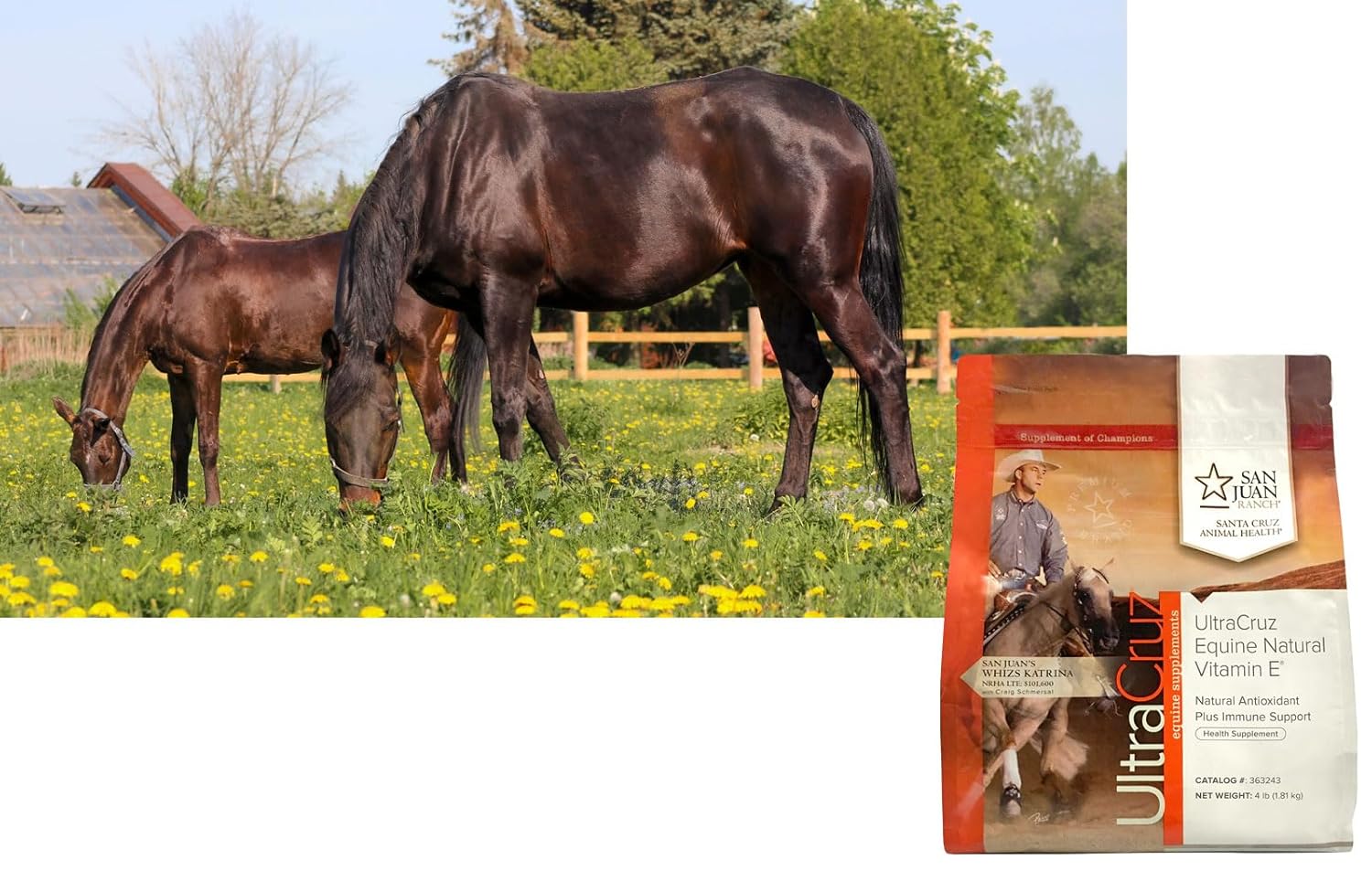 UltraCruz Equine Natural Vitamin E®, Powder, 0.75 lb