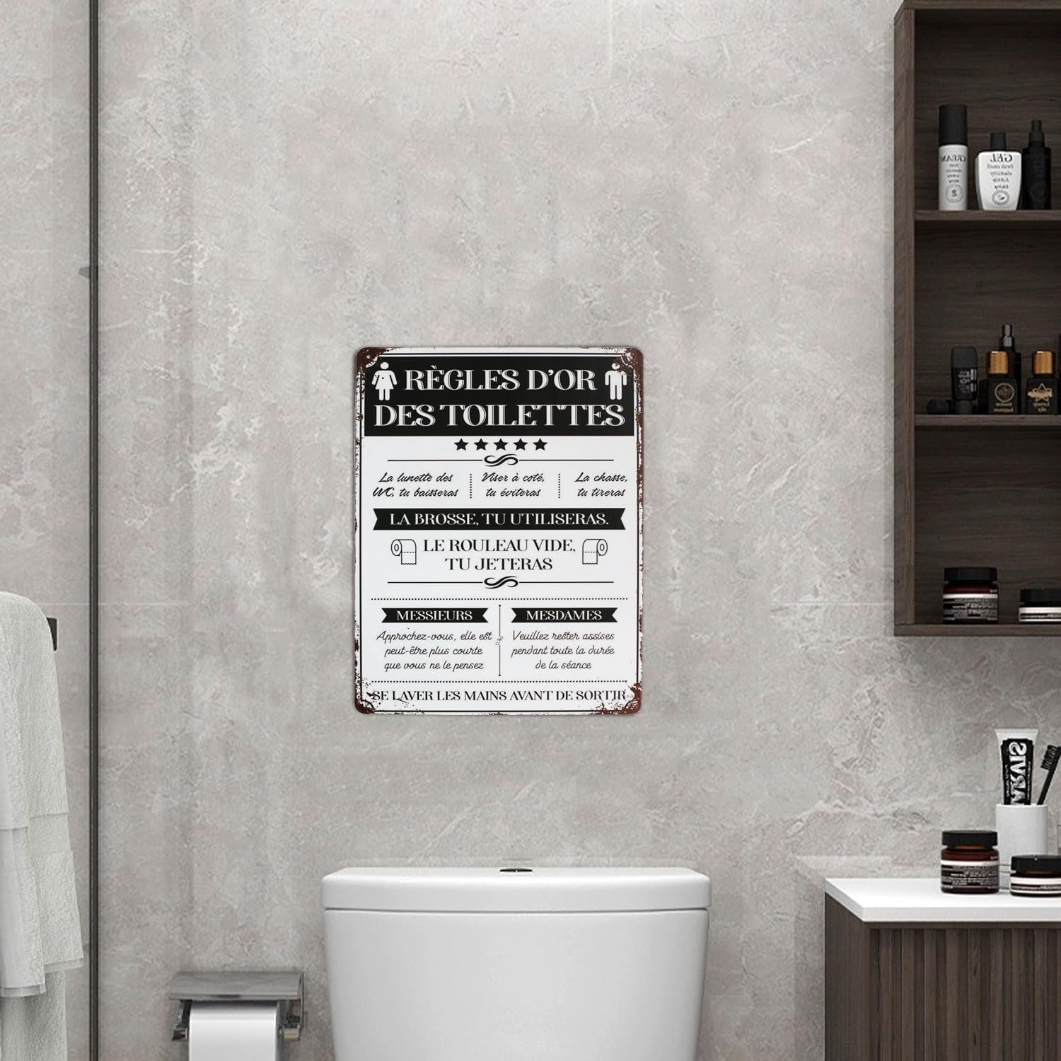 Plaque Murale Toilettes Vintage Putuo Decor – Règles Des WC Humoristiques En Métal, Décoration Salle De Bain, WC, Restaurant Ou Bureau
