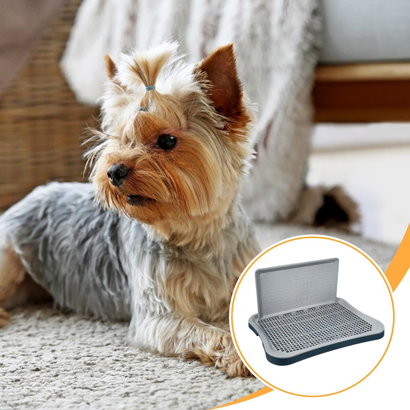 Indoor Dog Potty Tray, Dog, Pee Pad Holder Training Toilet for Dogs Cats Hamster, Navy Gray