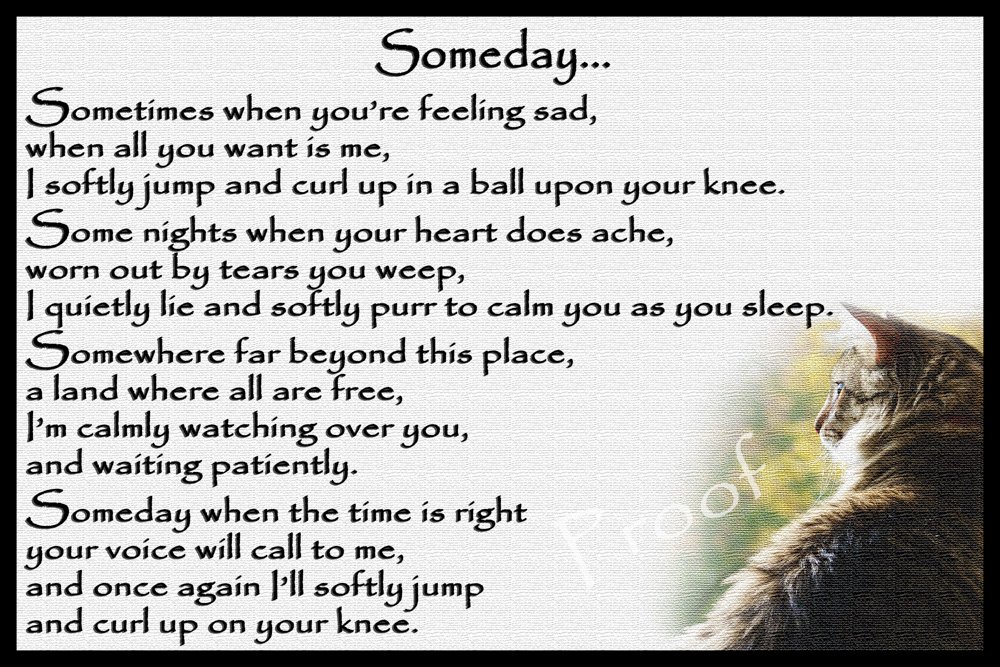 Cat Bereavement Memorial Flexible Fridge Magnet Sympathy Gift - Someday