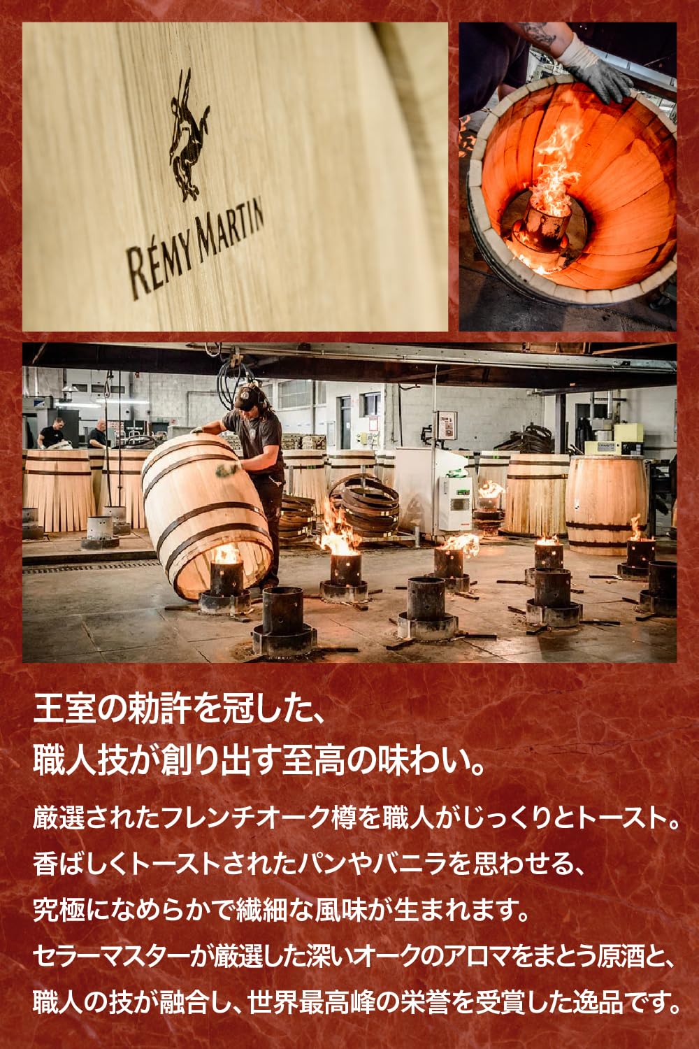 Amazon.co.jp: REMY MARTIN (レミーマルタン) 1738 アコード