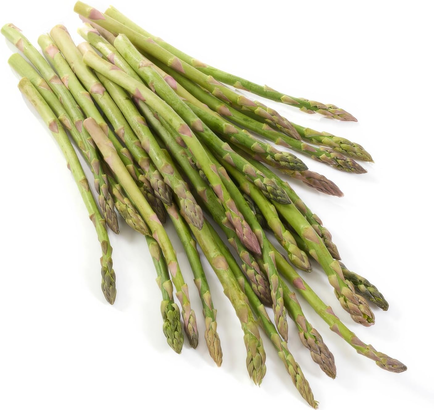 Grüne Spargel Pflanzen - 5 frigo A+ Echte Pflanzen aus Holland - Winterhart und Mehrjährig Gemüse - für Garten und Hochbeet (keine Samen, keine Zwiebeln und nicht künstlich)