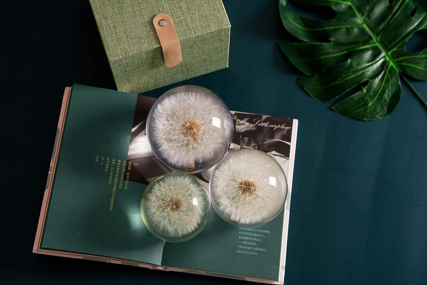 Wunscherfüller Pusteblume Briefbeschwerer Löwenzahn, EIN Traumball. Kristall Wunschkugel. Einzigartiger Briefbeschwerer aus Löwenzahn (Durchmesser*9CM)