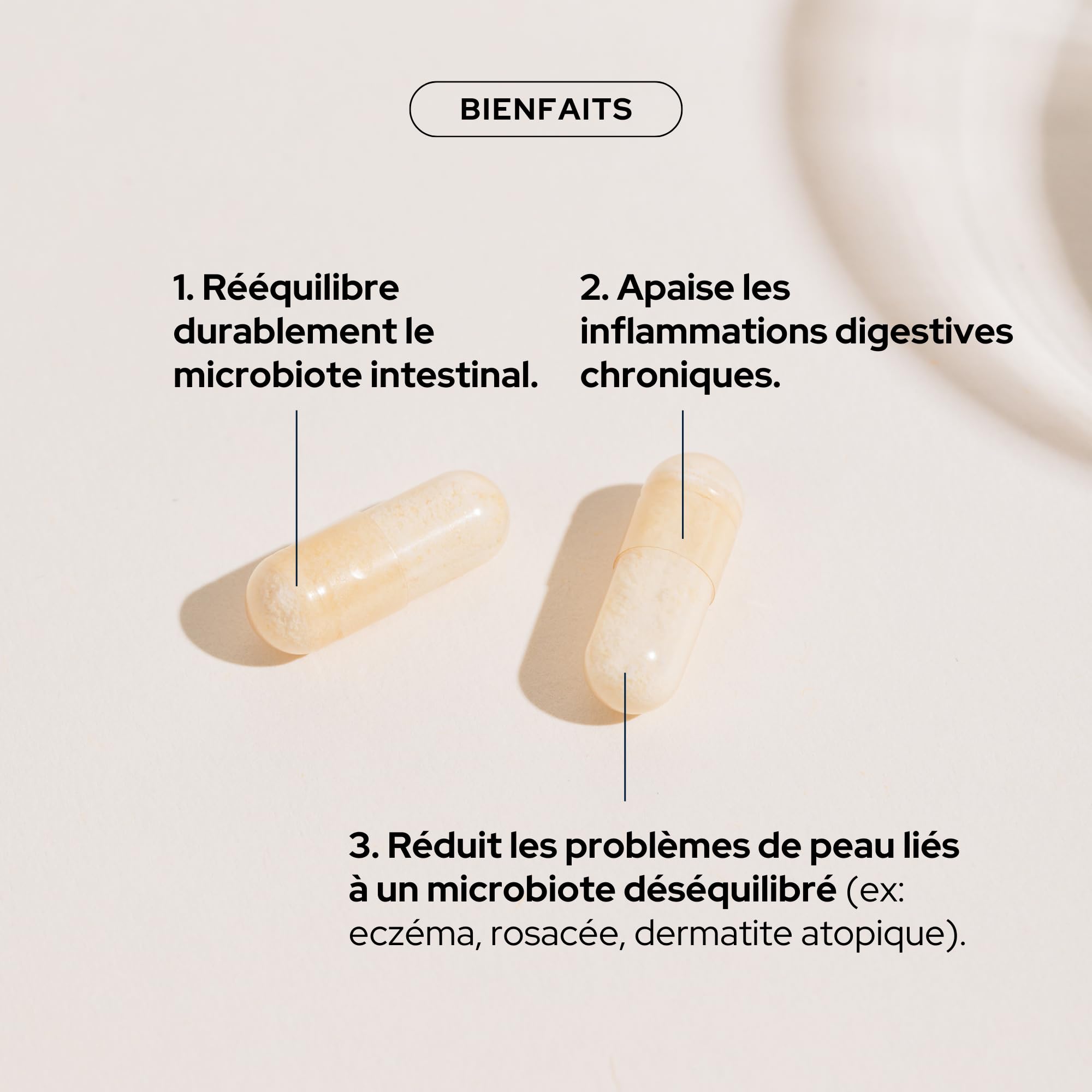 EPYCURE - Cure Complexe Probio et Fibres - Rééquilibre Microbiote Intestinal, Améliore Digestion - 100% Naturel - 4 Souches Probiotiques, Inuline, Calcium, Zinc - 1 Mois - Vegan - Fabriqué en France