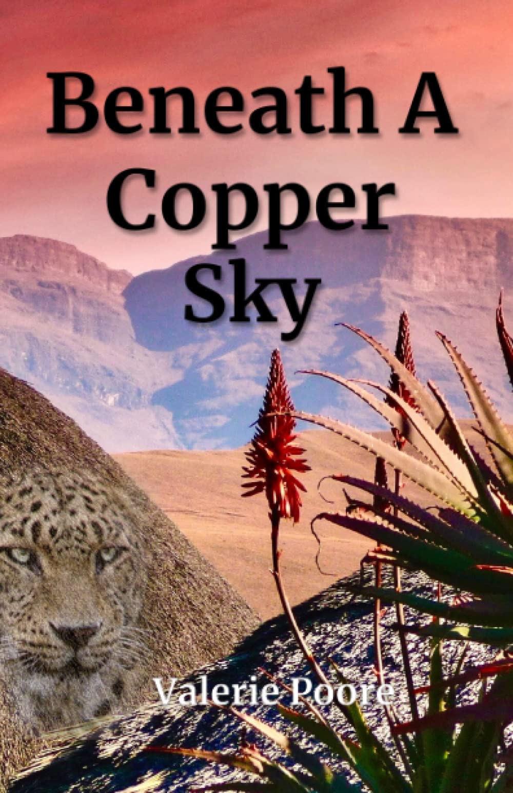 Beneath A Copper Sky