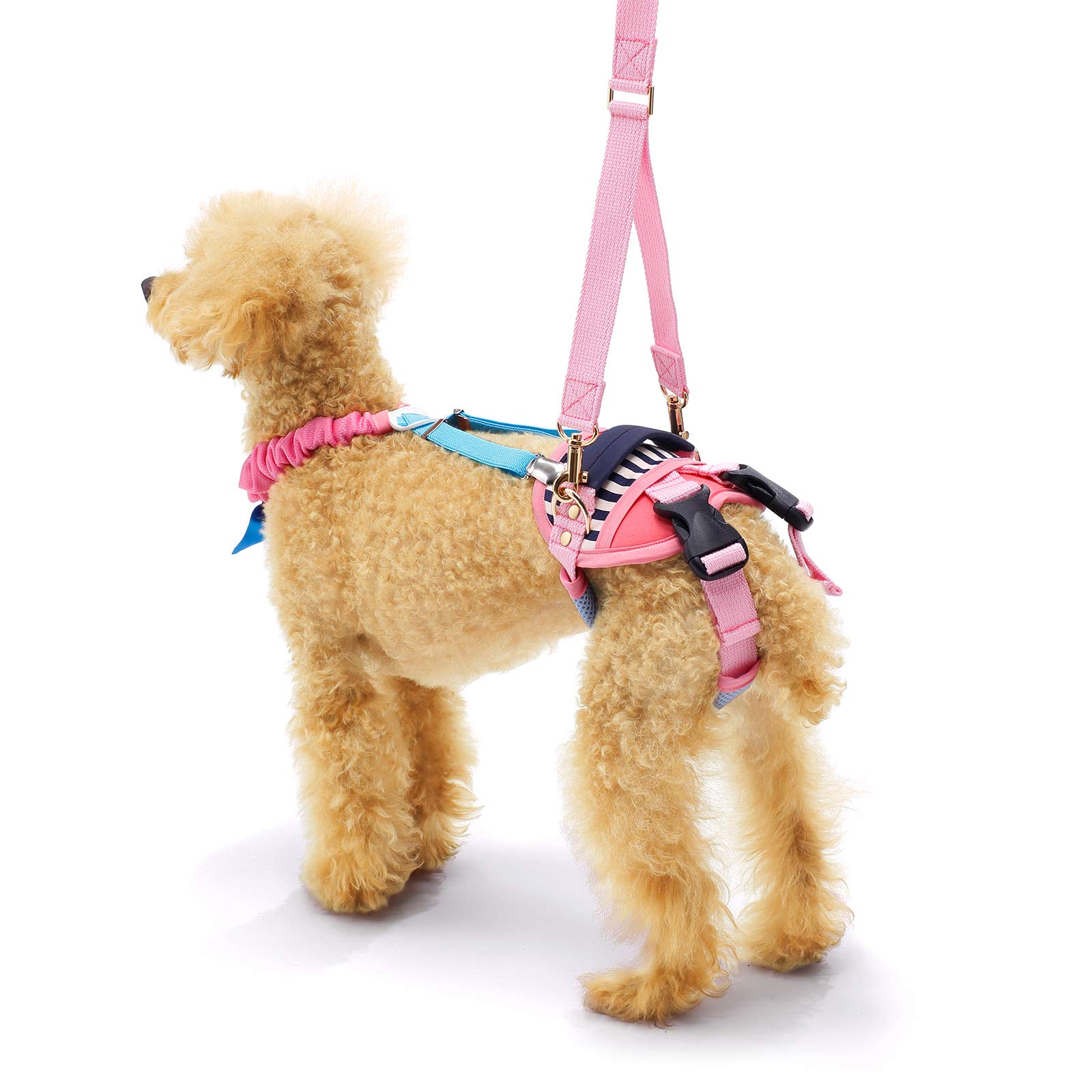 Amazon | With(ウィズ) 歩行補助ハーネスLaLaWalkホールド小型犬用