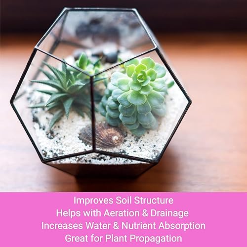 Miniatura 3 de Perlita profesional Grande 2.2 cuartos Grado medio para plantas de jardín y macetas Aditivo ligero para suelos pH neutro Fabricado