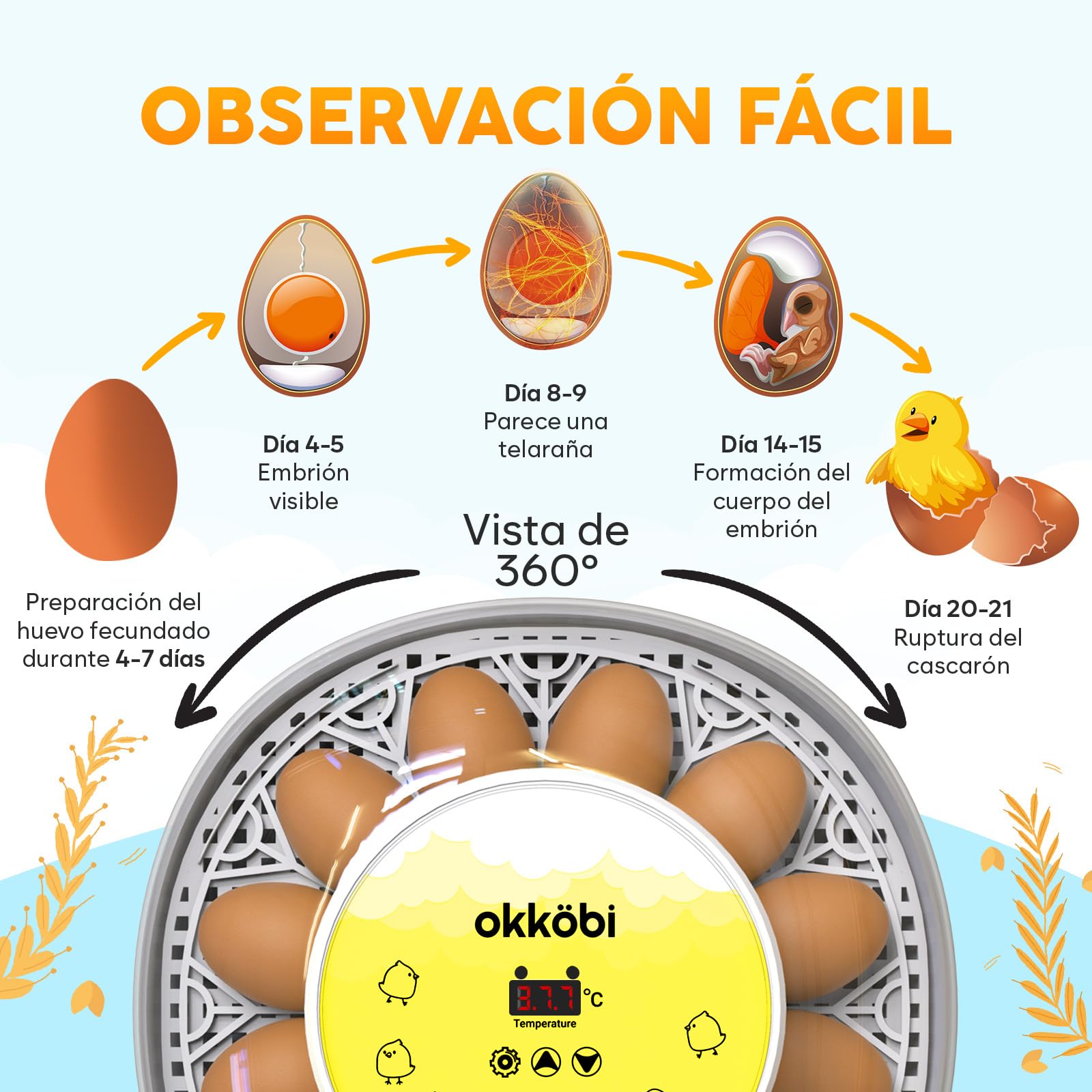 Okkobi M12 - Incubadora Huevos Gallina Automática - Volteo Automático y Control de Humedad - 12/24 huevos, Vista 360°, fácil de usar y limpiar - Chocadeira Ovos Automática - Blanco y amarillo