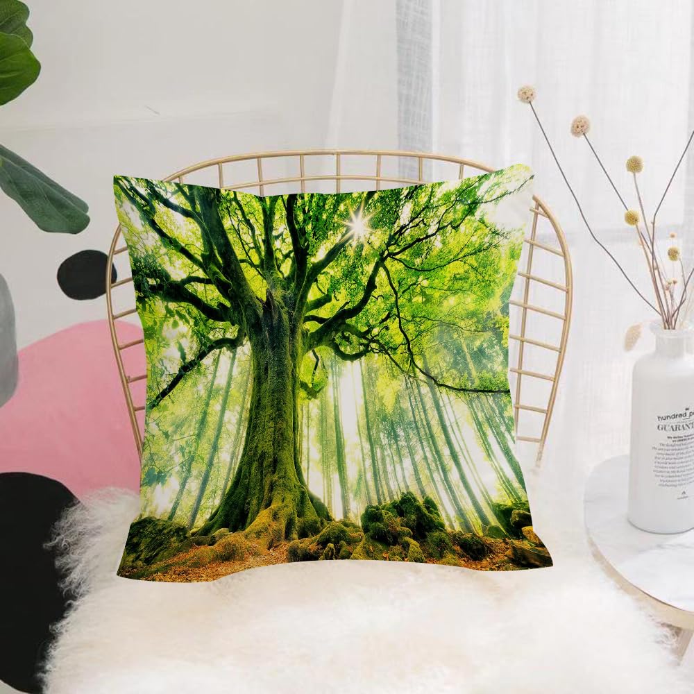 HYMSXW Cushion Cover,Throw Pillow Case Home Decorative for Living Room Bedroom Sofa Chair 20X20 Inch,Nature photos that will read you,Pillowcase 50X50cm