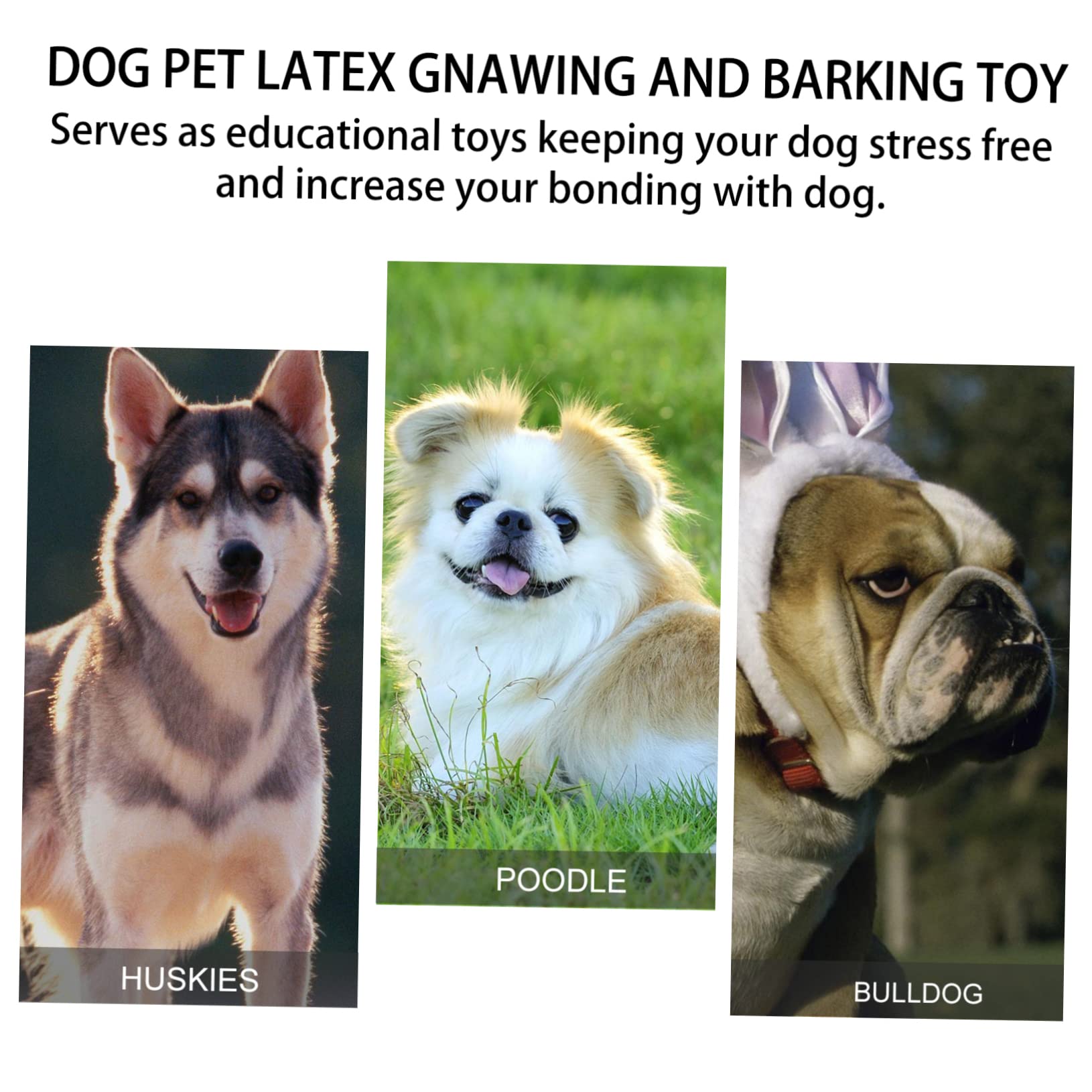Kisangel 9stücke Cartoon Hundespielzeuge Aus Latex Quietschendes Kauspielzeug Für Hunde Beißspielzeuge Für Welpen Und Kleine Hunde Inkl Süßem Design Schweinchen Huhn Kuh