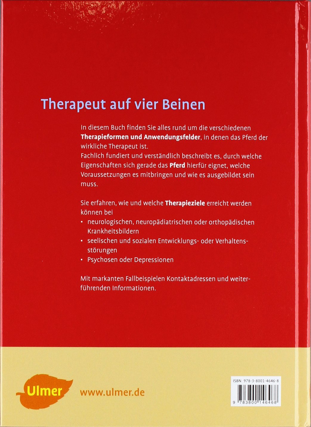 Therapieren mit Pferden: Heilpädagogisches Reiten - Hippotherapie - Psychiatrie