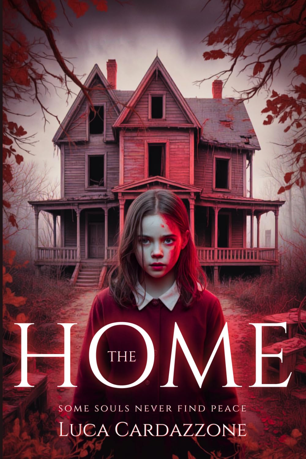 The Home: A Psychological Gothic Horror Novella