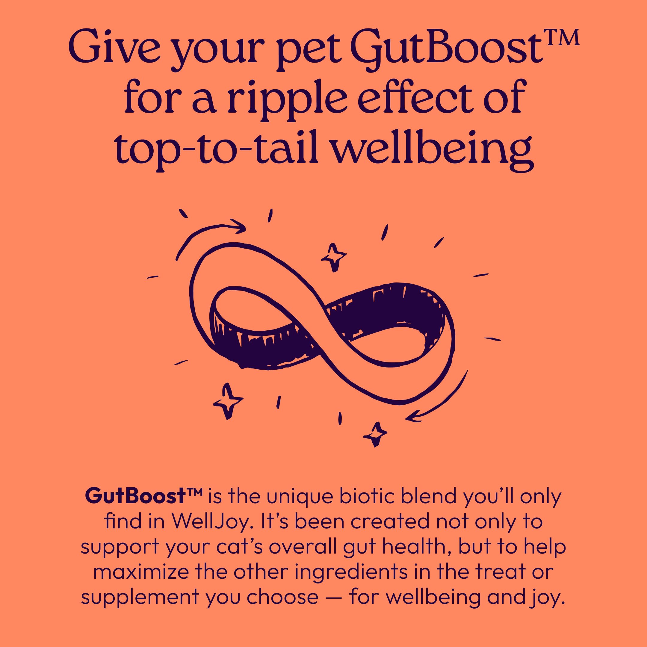 New! WellJoy Cat Treat Skin & Coat+ GutBoost | Nourishes Healthy Skin | Supports Shiny Coat | Dual-Benefit GutBoost Formulation | Vet Formulated | Made in USA | Real Shredded Chicken | 120 Soft Chews - image 7
