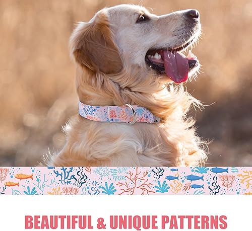 Miniatura 5 de ZooZoo Collar para perro ajustable, collar de perro con hebilla metálica de liberación rápida para perros grandes, lindo collar de perro para