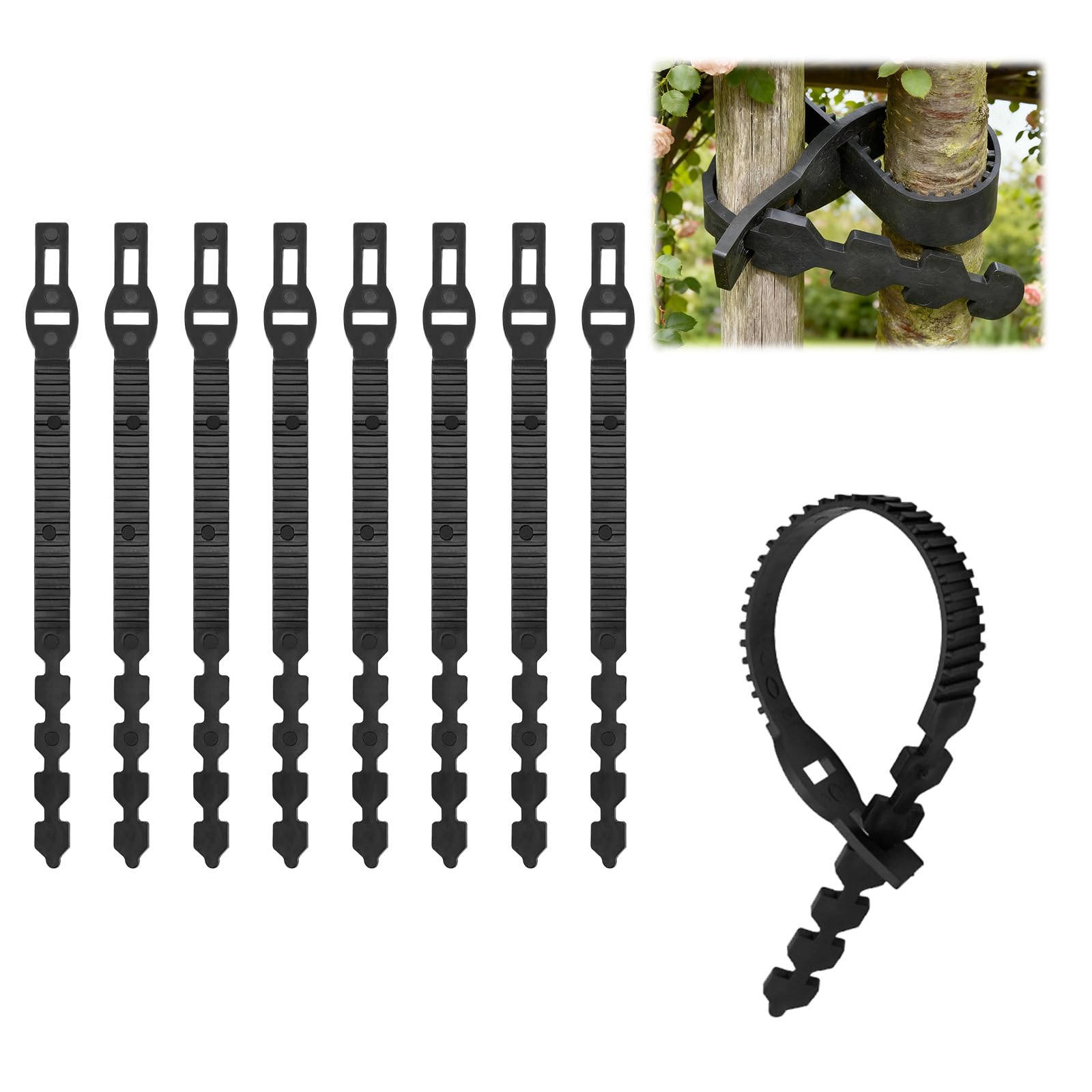 Attaches pour arbre à sangle réglable de 40 cm et de 8,50 cm de largeur