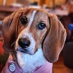 Review Image by Cheryl F. Cheryl F.