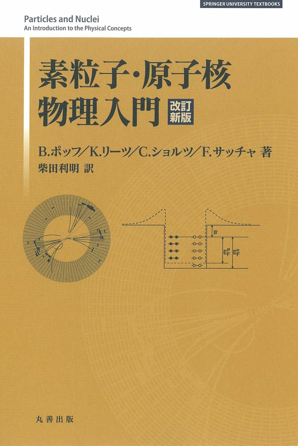 Amazon.co.jp: 素粒子・原子核物理入門 改訂新版 (SPRINGER UNIVERSITY
