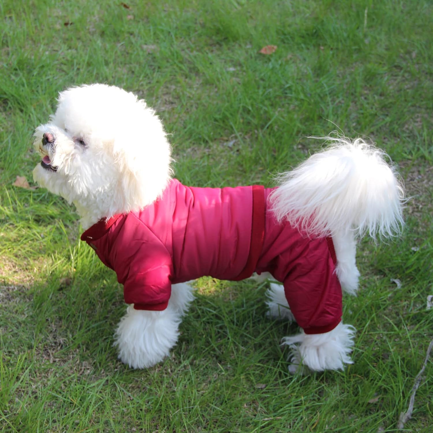 JoyDaog Fleece Lined Dog Coat with Detachable Hood and Detachable Hind Legs,Warm Puppy Jacket in Winter(Red M)