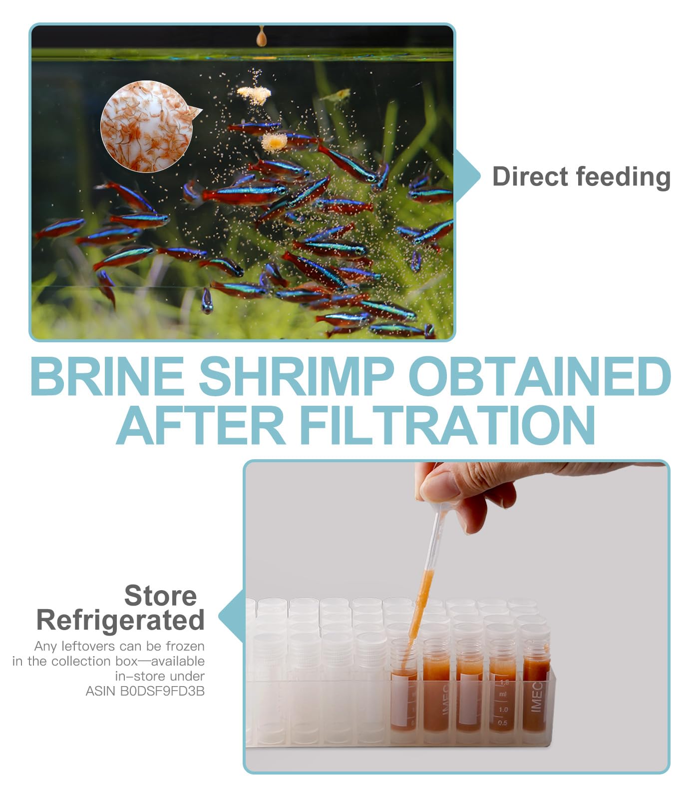 Clscea Baby Brine Shrimp Sieve 80 Mesh 200 Mesh kit for Brine Shrimp Hatchery, White, Simplified Version - Image 4