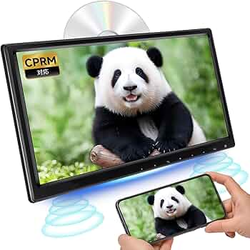 71-lYRW6cfL._AC_UF350,