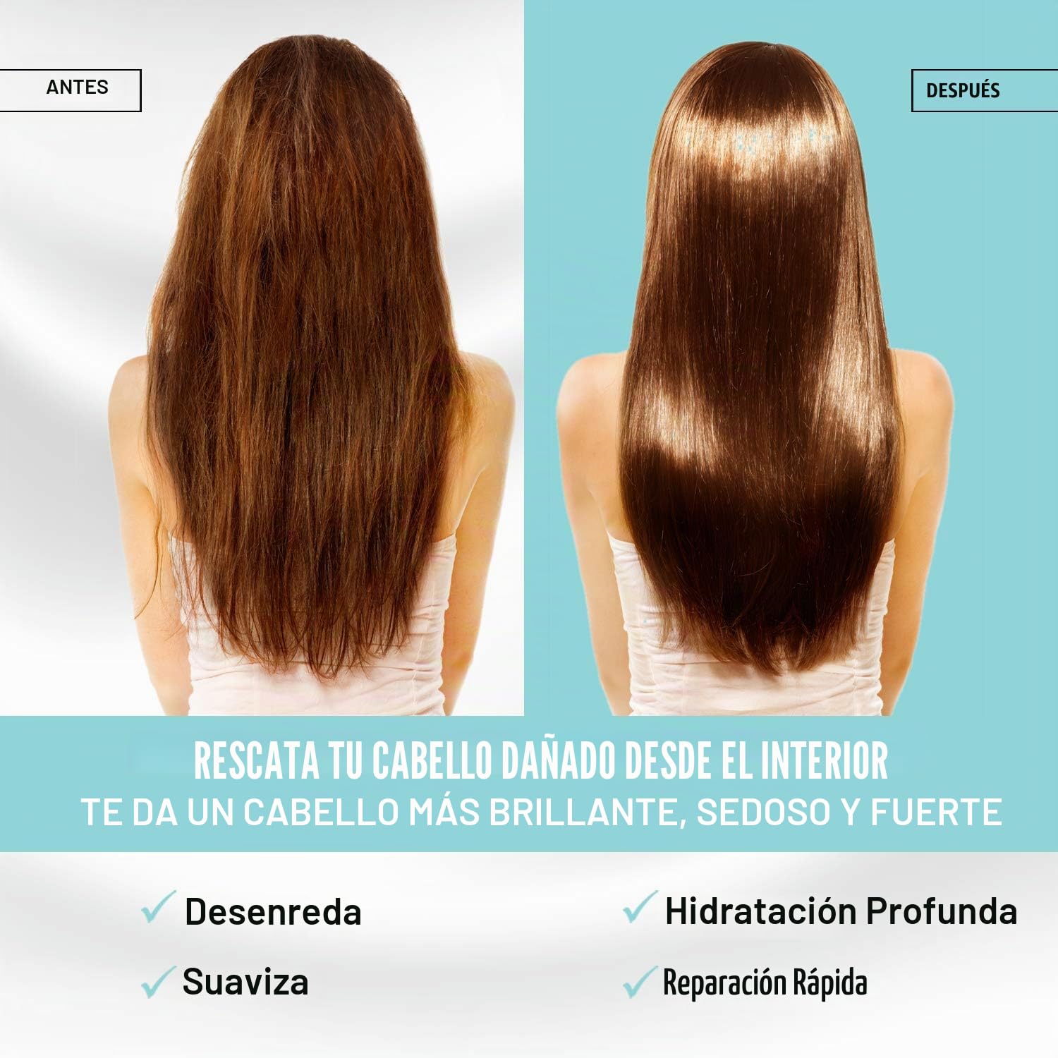Shampoo + Conditioner + Hair Treatment