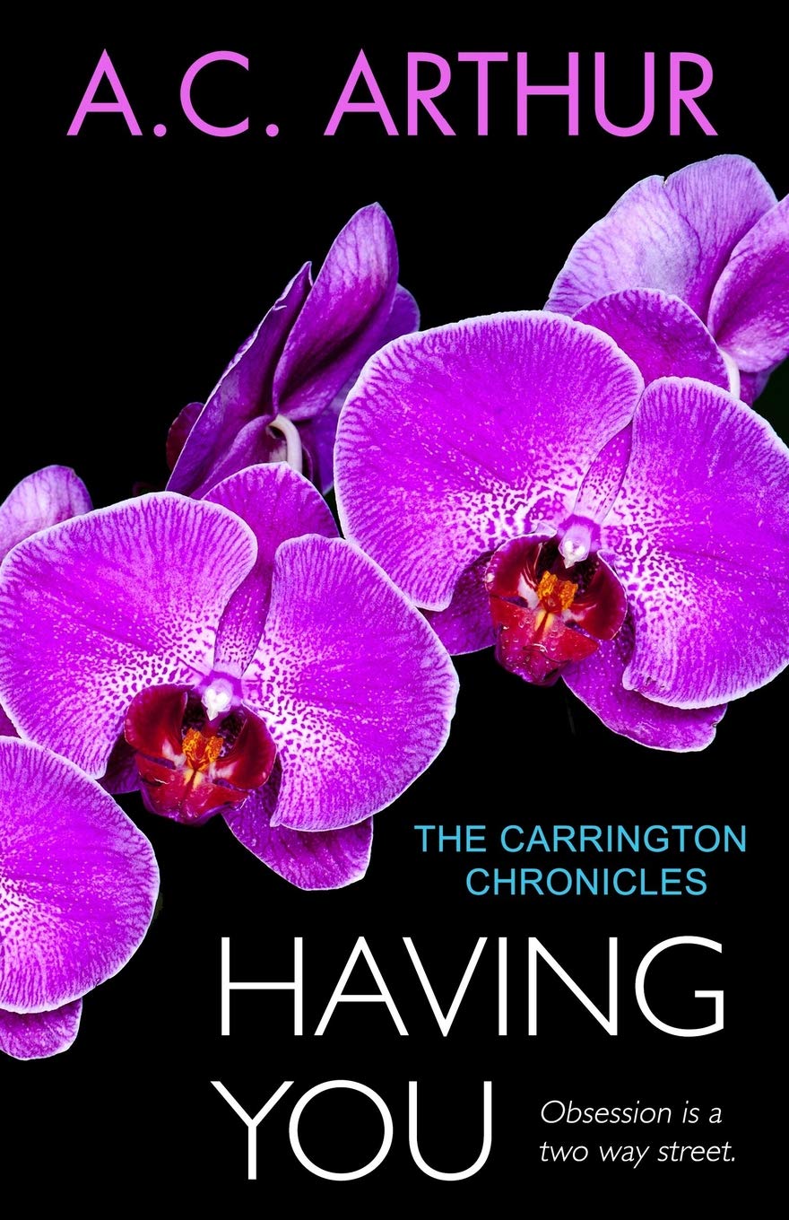 Having You: The Carrington Chronicles, An Erotic Thriller: Volume 3