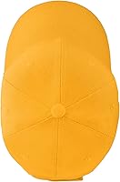 Vista 230 de Falari - Gorra de béisbol, tamaño ajustable, para correr, entrenamientos y actividades al aire libre, para todas las estaciones.