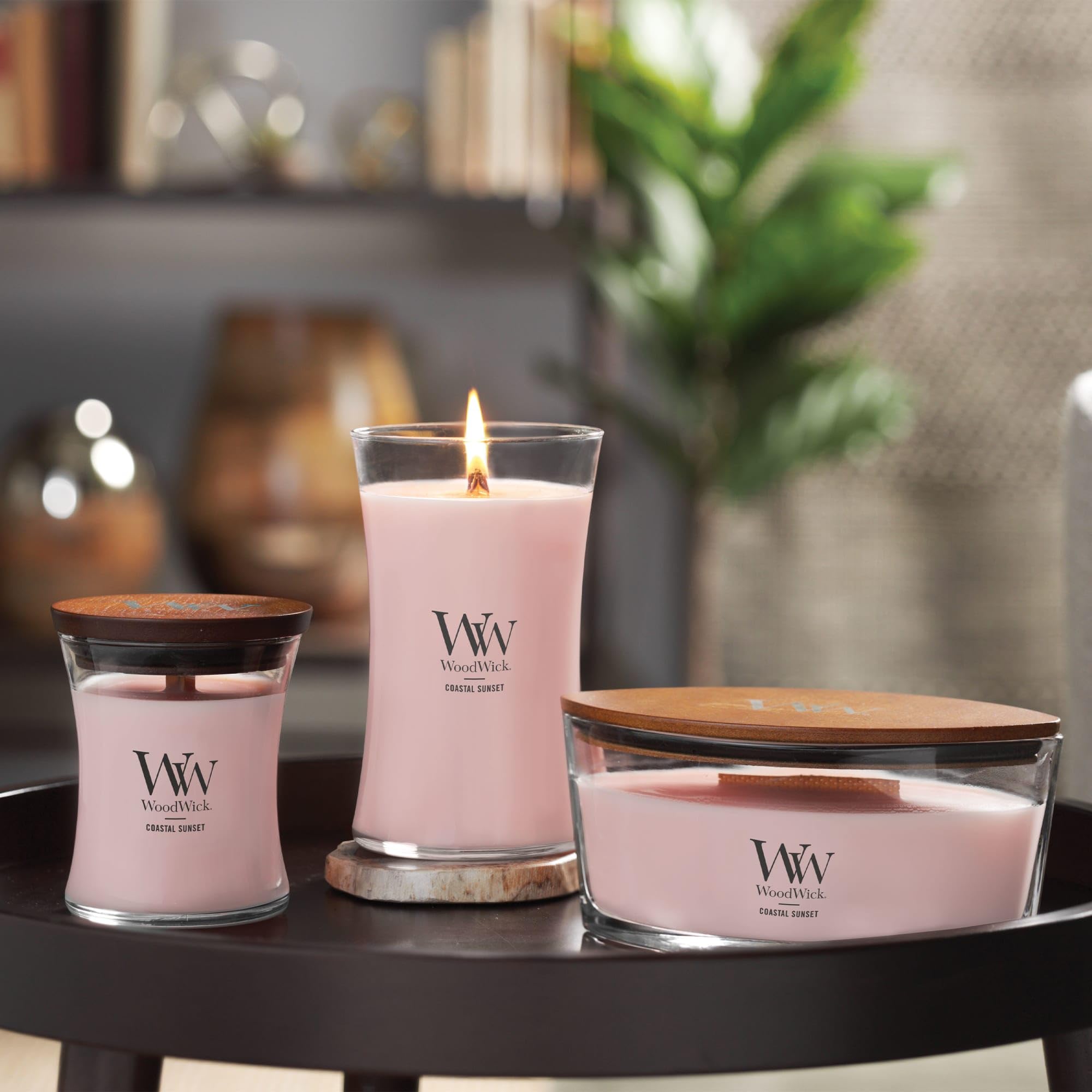 Amazon.co.jp: WoodWick ウッドウィック HEARTHWICK ハースウィック L