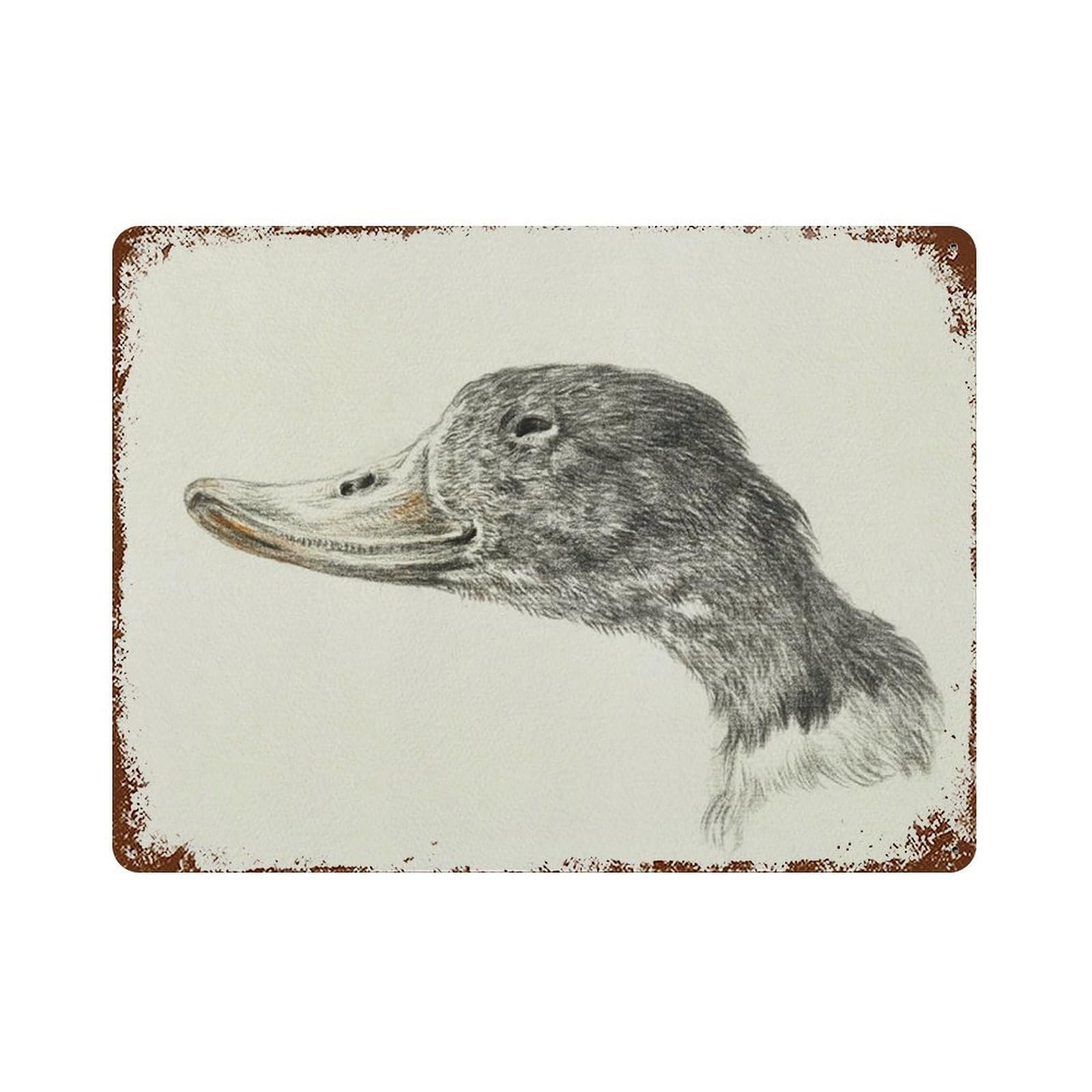 xiaoxiaoshen Duck Sketch, Vintage Nursery, Drawing Room S, Farmhouse Wall Decor Art Metal Tin Poster Modern Home Decor Art Home Bar Shop Decorations Vintage Sign 30x40cm