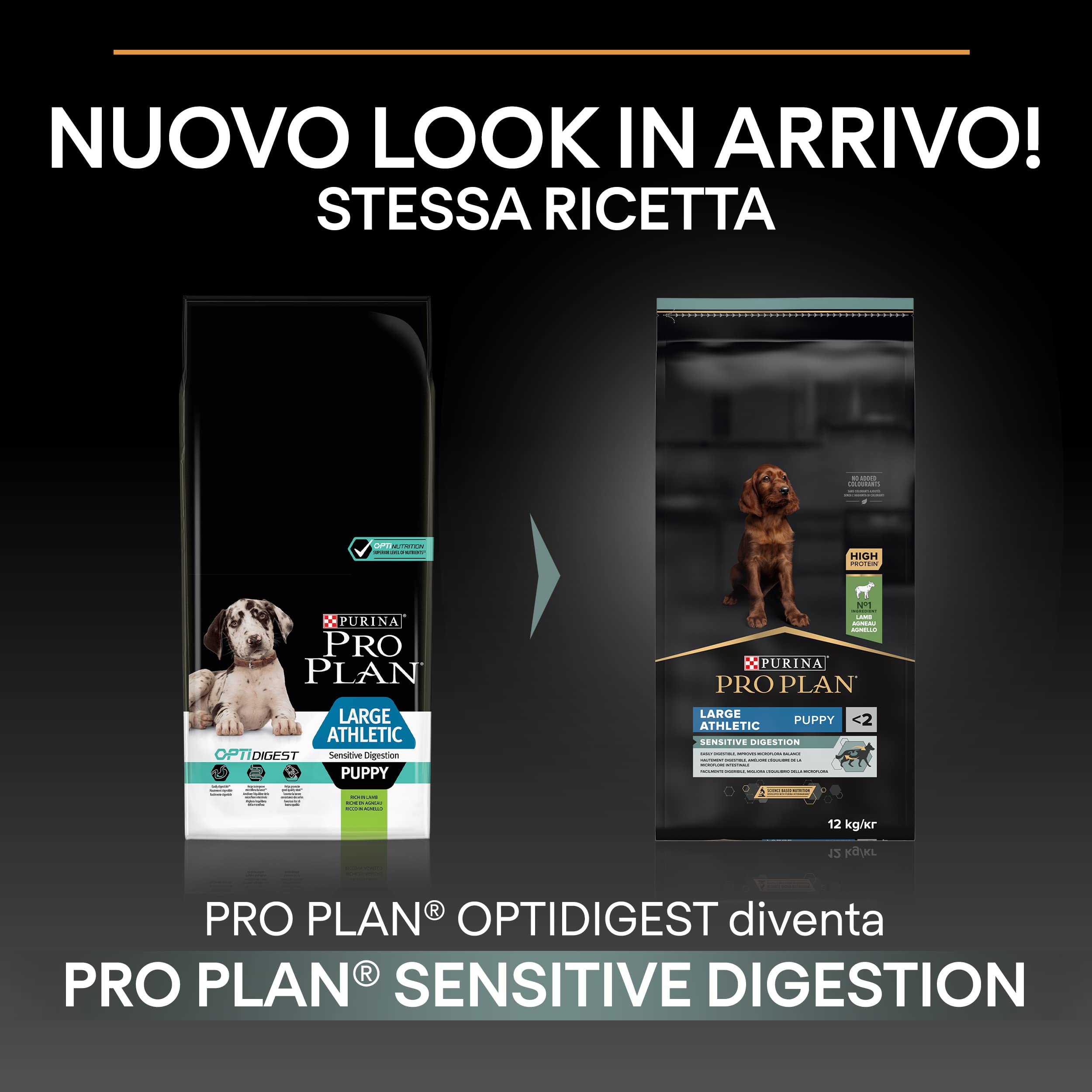 PURINA PRO PLAN Large Athletic Puppy Sensitive Digestion cordero