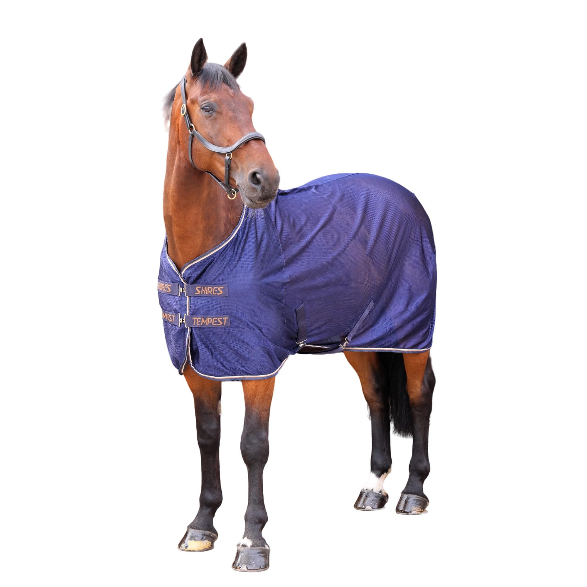 Tempest - Oryginalny materiał siatkowy kocyk konie Cooler wierzba (213,36 cm) (tusz niebieski), niebieski (Tintenblau), 213,36 cm