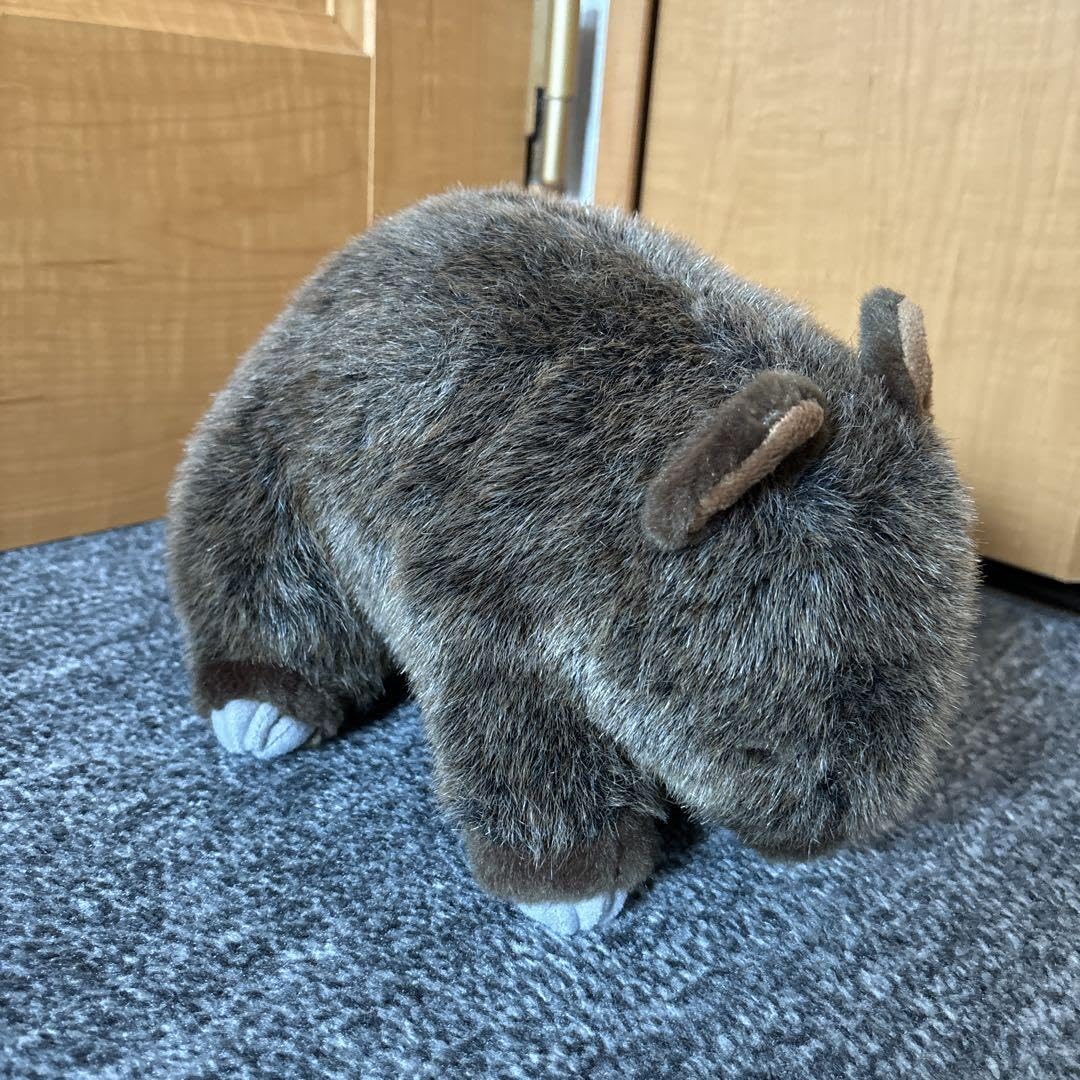 Amazon.co.jp: 本日21時の限定 10C+1ぬいぐるみ ウォンバット : おもちゃ