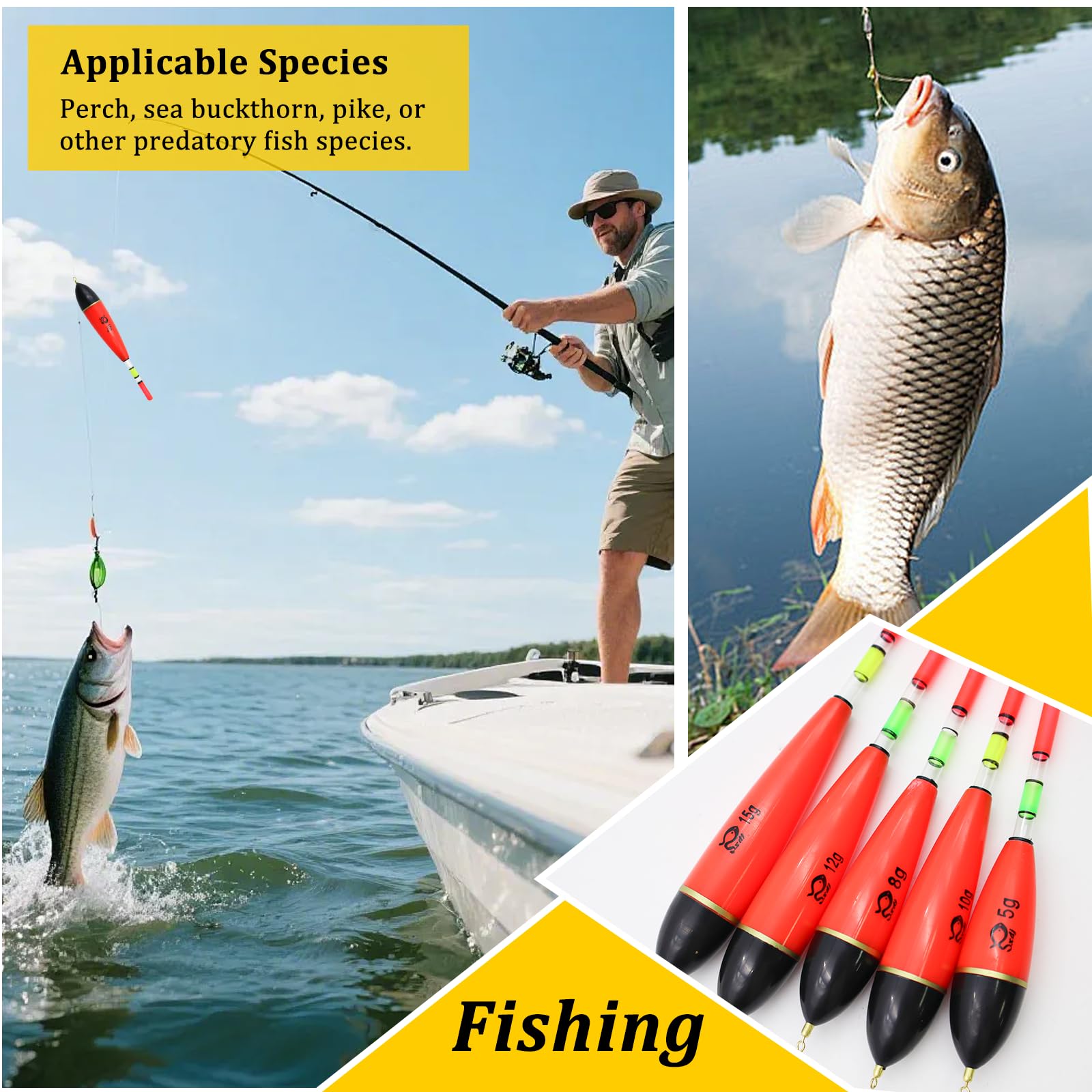 OMJMYY 5 Unidades de flotadores de Pesca Luminosos 5 g/8 g/10 g/12 g/15 g portátil Pesca flotadores Accesorios de Pesca Set de Espuma EVA para Lucio Perca Carpa Diferentes Especies de Peces Grandes