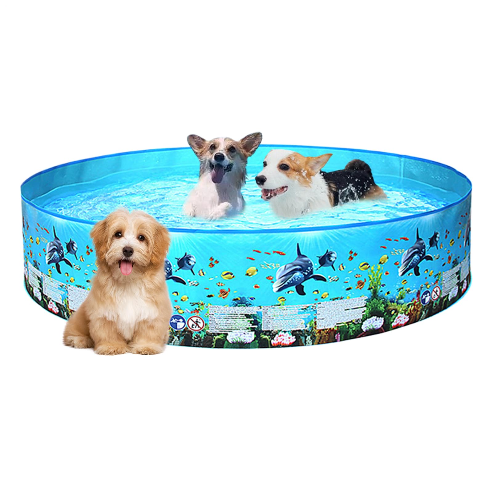 Large Foldable Pool Puppy Pool