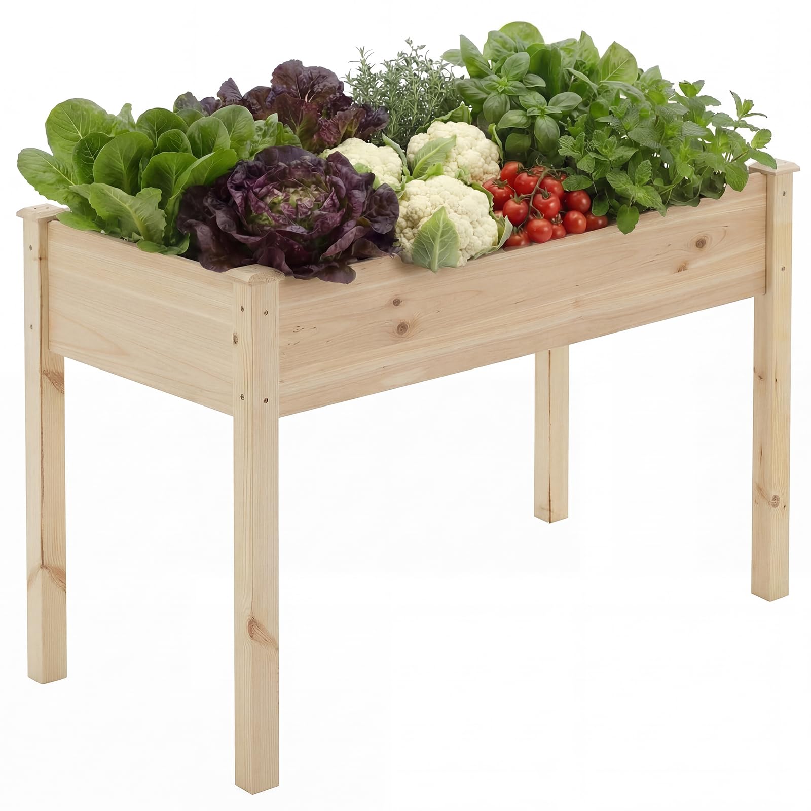 DUMOS Raised Garden Bed with Legs
