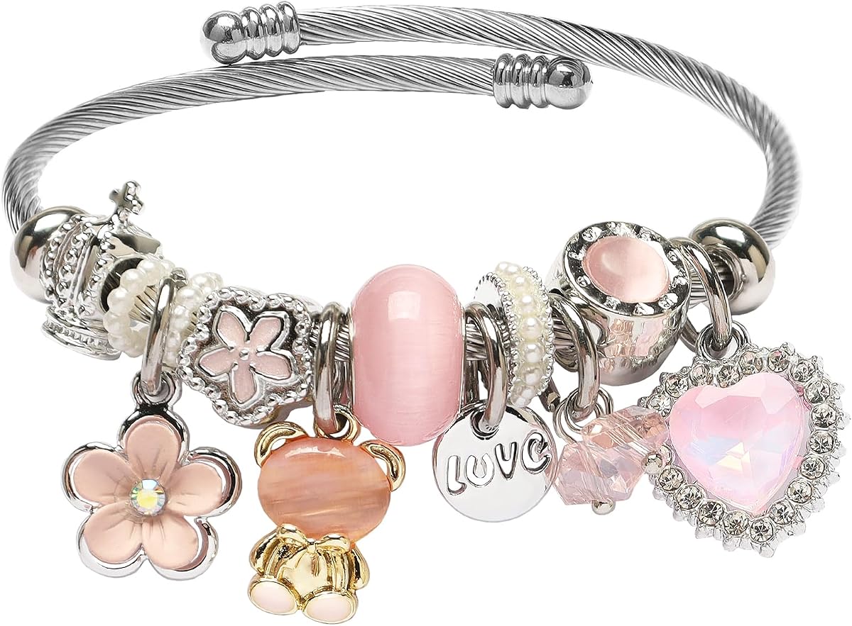DS Charm Bracelets for Teen Girls Adjustable Stainless Steel Gift Box | Birthday holiday friendship party favor, silver ladybug bear butterfly, hypoallergenic, cute assorted, kids daughter niece