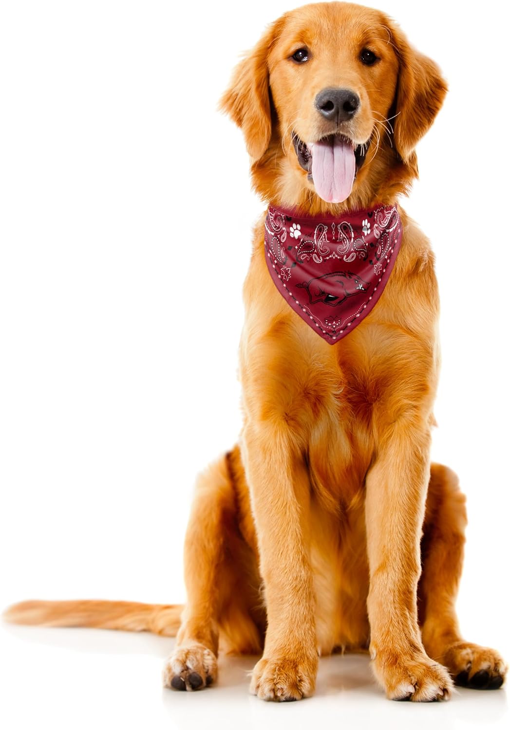 Littlearth NCAA Unisex NCAA Pet Bandana - Reversible