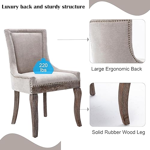 Miniatura 4 de Rhomtree Sillas de comedor tapizadas de madera maciza, sillas de comedor laterales de tela gruesa de alta gama con cabeza de clavo de bronce, sillas