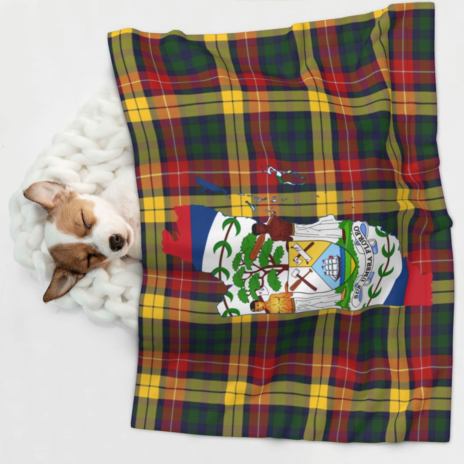 Belize Flag Map Soft and Cozy Pet Blanket for Dogs and Cats - Versatile and Comfortable Large