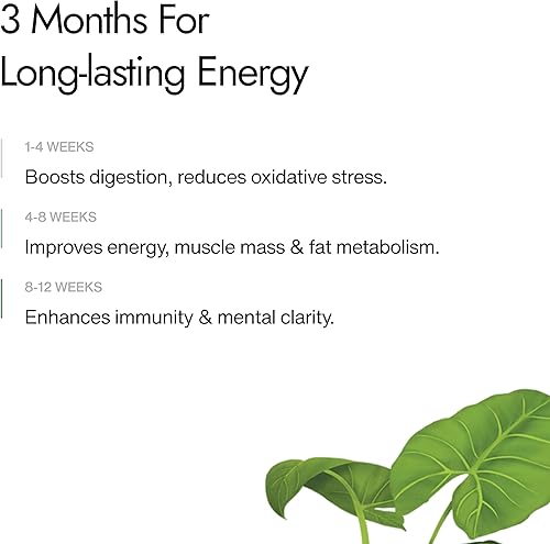 Miniatura 9 de Kapiva Shilajit Plus Cápsulas 120 N