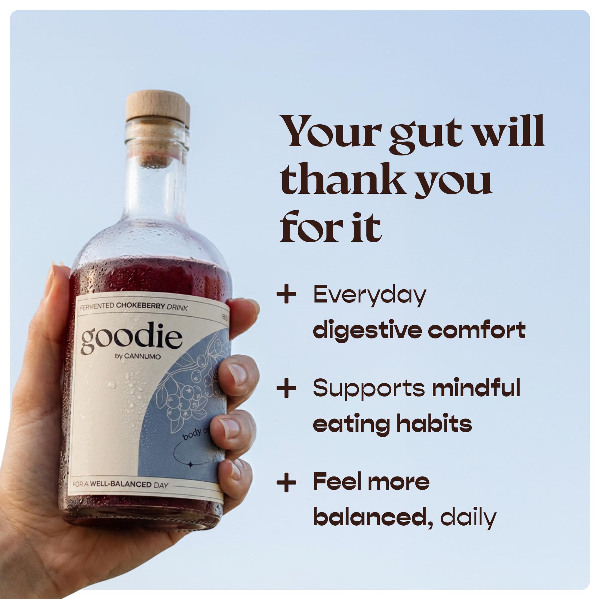 Goodie Fermented Superfood Drink - Probiotisches Wellnessgetränk, 500ml Flasche, Darmgesundheit, antioxidantienreich, vegan, natürliche Inhaltsstoffe, verschiedene Geschmacksrichtungen (500ml,