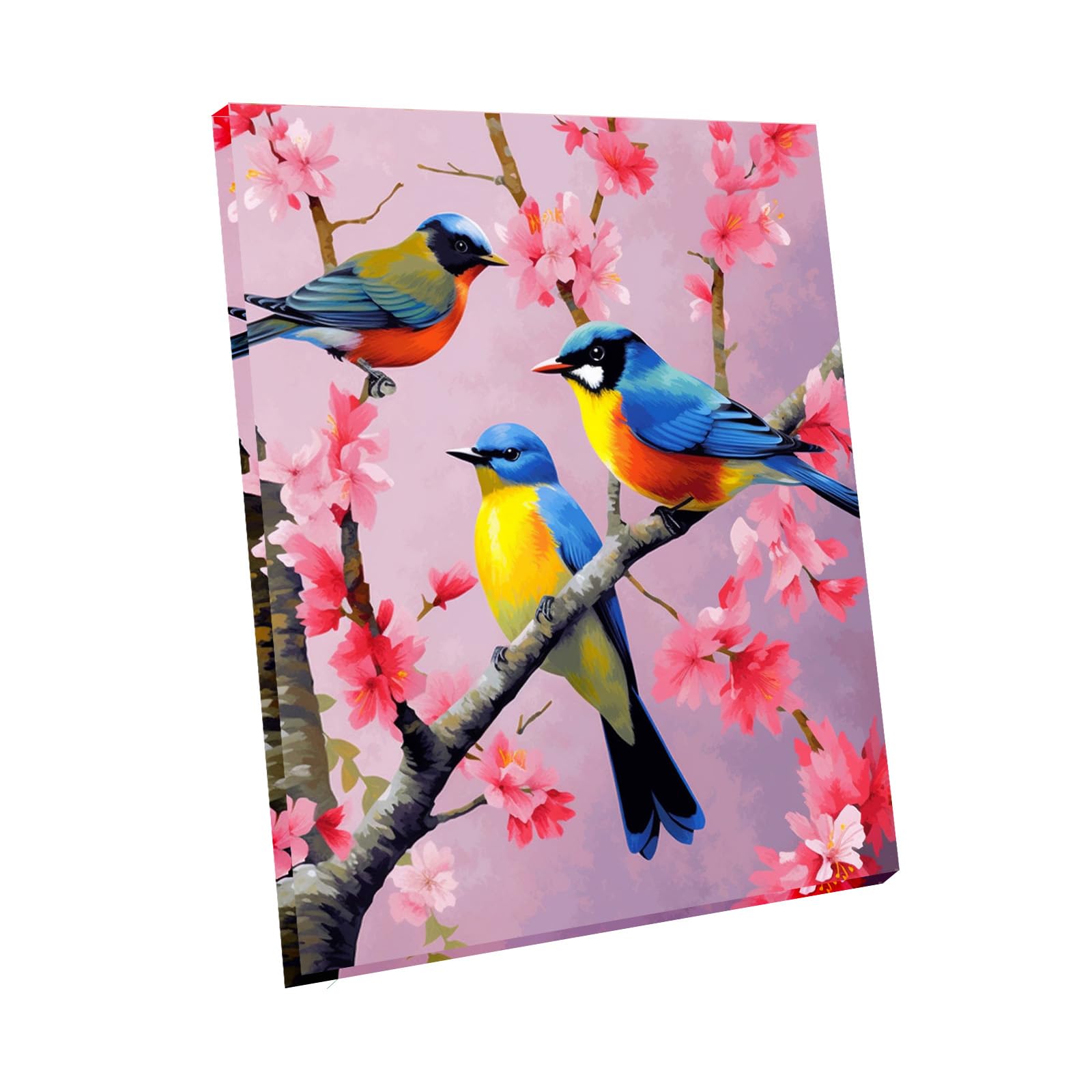Maomaomi Wooden Framed Paint by Numbers DIY Acrylic Painting Kit for Kids & Adults Beginner – 16" Wx12 L Colorful Bird Pattern
