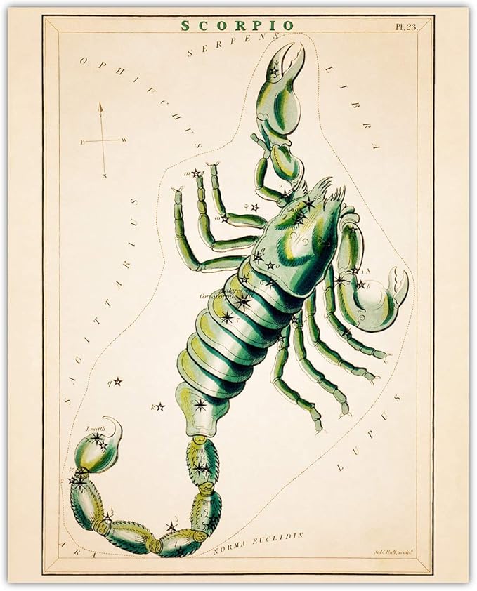 Buzz Unplugged Scorpio Zodiac Astrology Poster: Unique Astronomy Boho Wall Art Poster for Home, Office, Bedroom & Living Room Decor - Unframed Posters 8x10