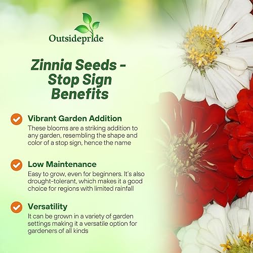 Miniatura 3 de Outsidepride Annual Zinnia Elegans Stop Sign Flores cortadas para jardín tolerantes al calor y la sequía - 1000 semillas